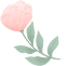 e8a4e7bcc1624e9c515238ad11f17a2d.png